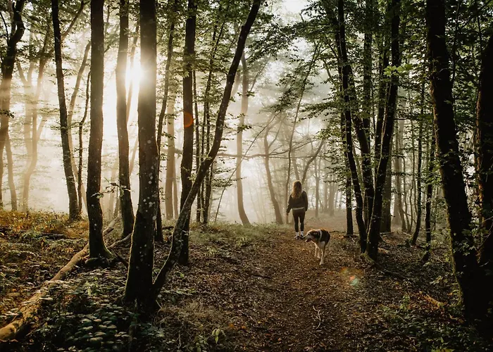 Cornelyshaff Hotel *